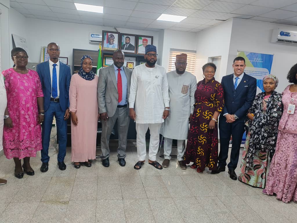 Group photo of AAYC team with Dr. Mustapha Abdullah, and Energy Commission of Nigeria Directors